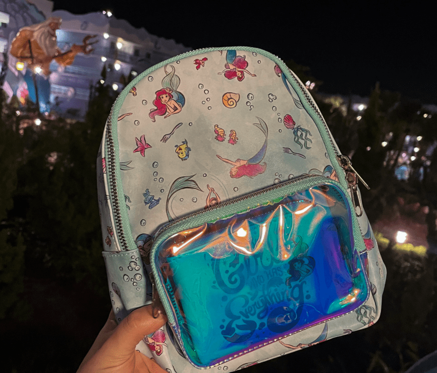 Disney Park Bag